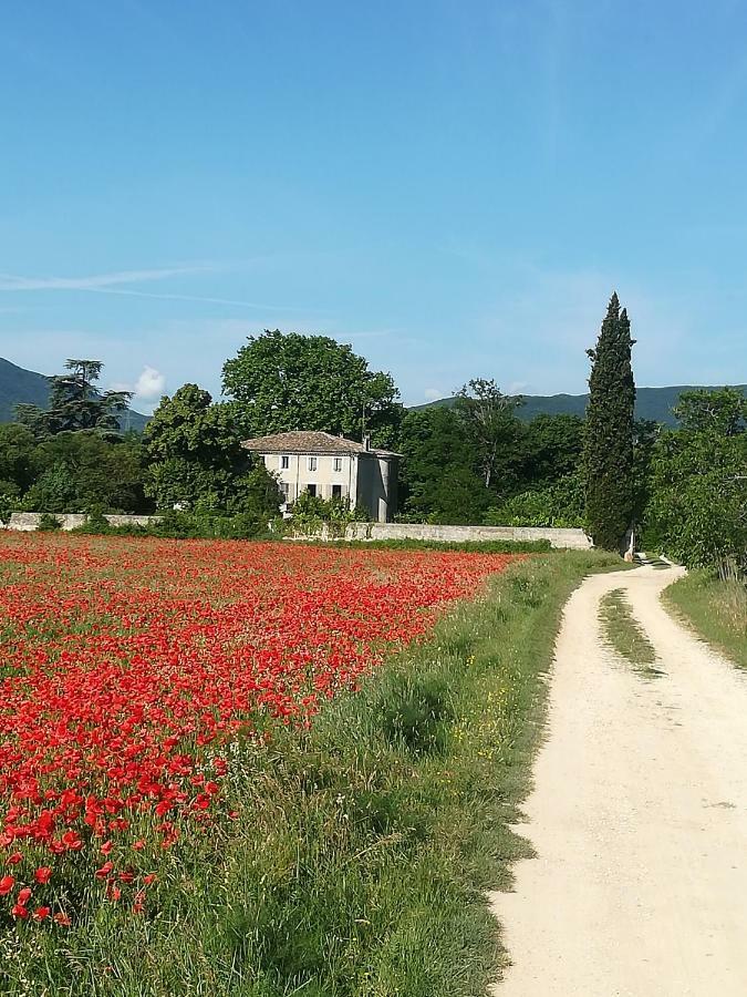 Le Clos De La Chardonniere Saulce-sur-Rhône Eksteriør bilde